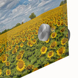 Large abstract wall art featuring muted earth tones on acrylic glass.