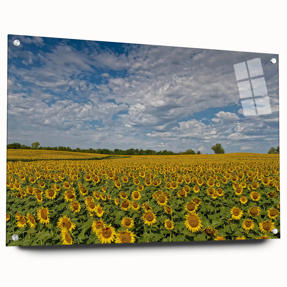 Large abstract wall art depicting a Kansas scenery in muted earth tones on acrylic glass.