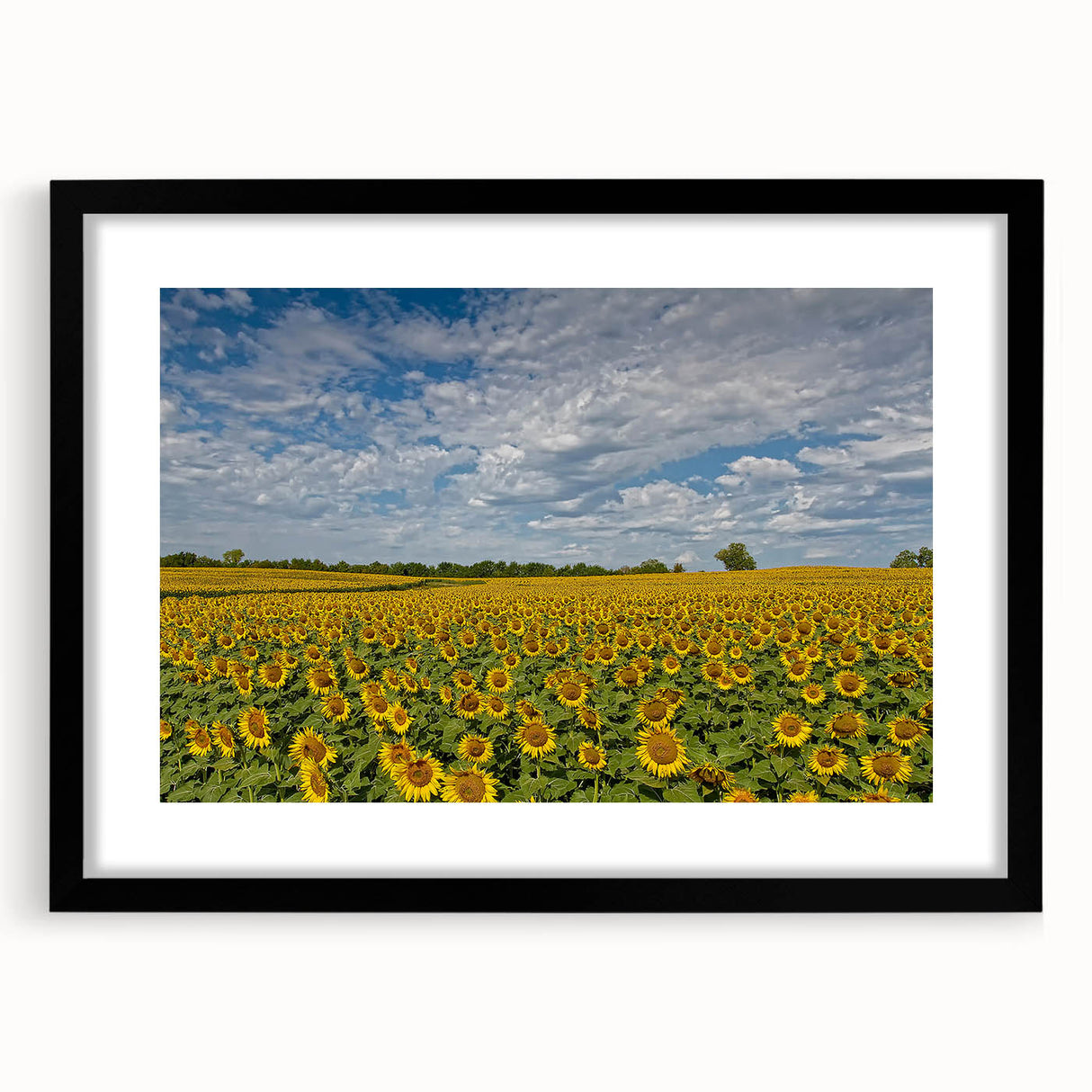Extra large abstract art print featuring textured, colorful art of Kansas scenery on a black framed canvas.