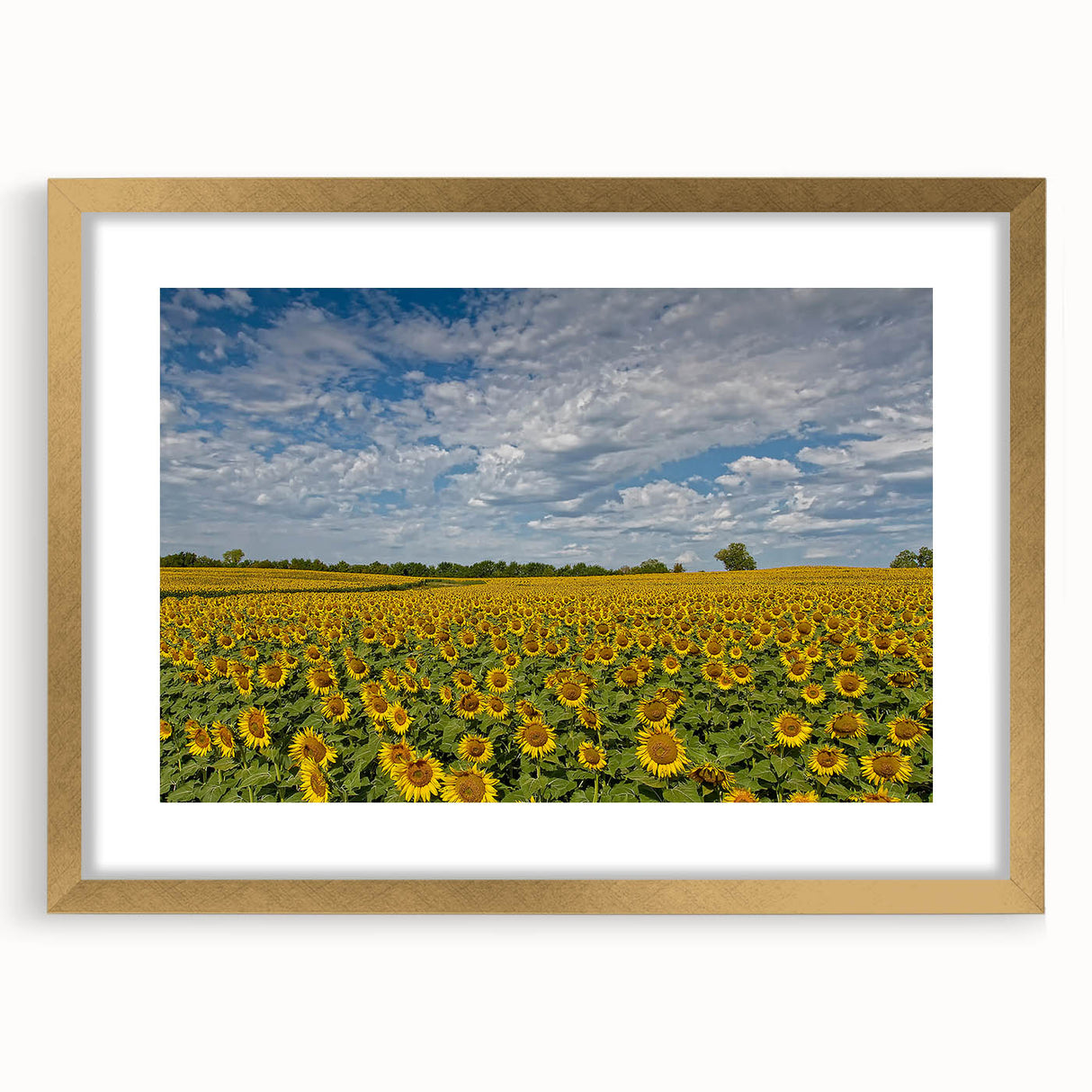 Extra large abstract art print of Kansas scenery in golden frame with textured details, suitable for living room decor.