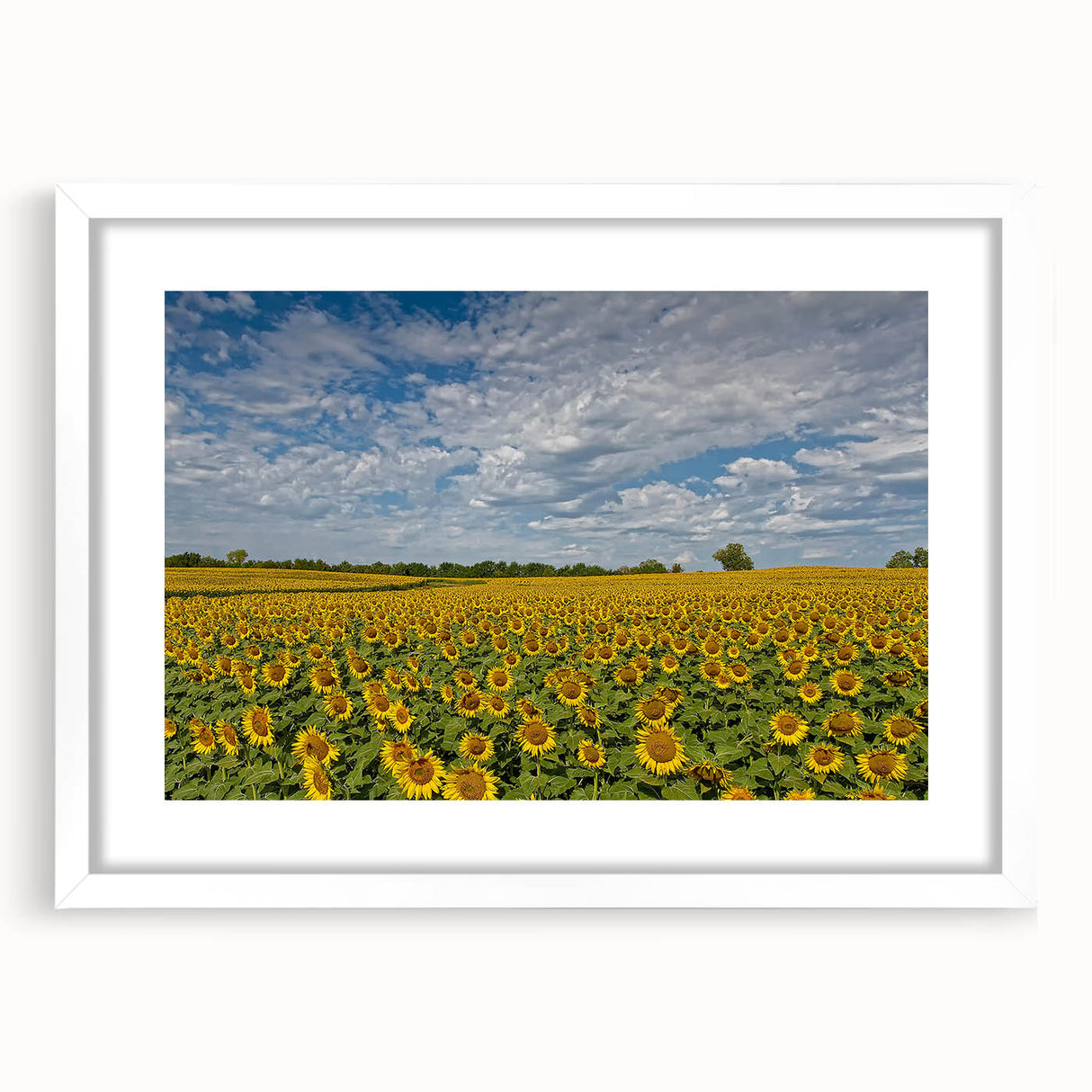 Abstract art print of a Kansas landscape in muted earth tones on a white-framed canvas, suitable for dining room decor.