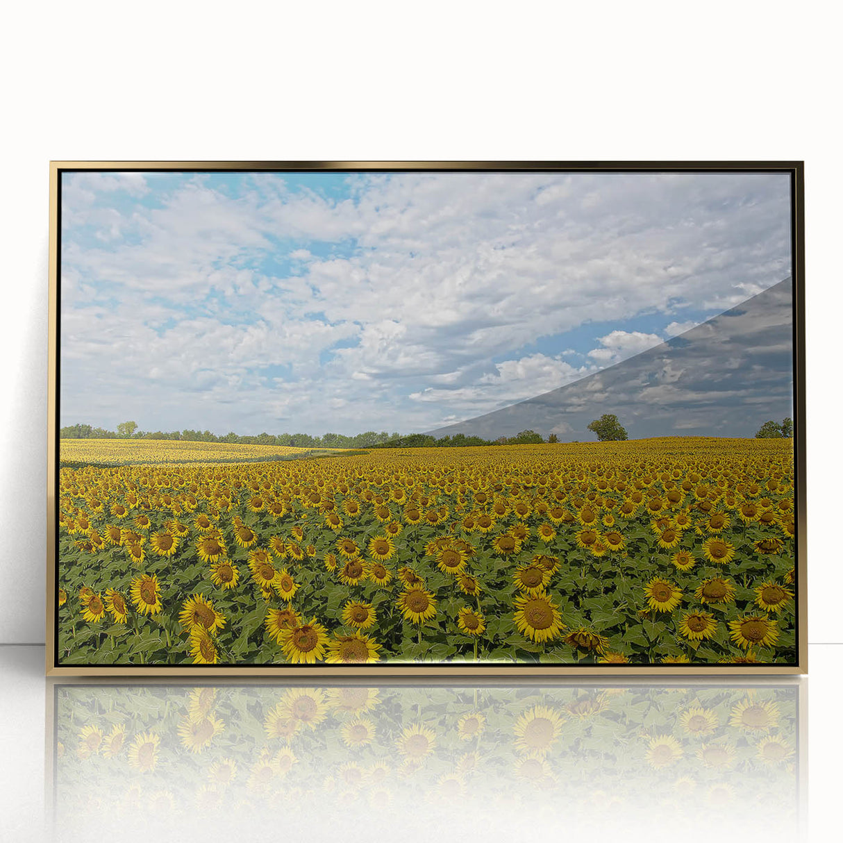 Mid-century modernist acrylic print of Kansas scenery in gold frame, suitable for modern art wall decor.