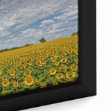 Extra large framed canvas featuring a textured depiction of a Kansas landscape in black with colorful accents.