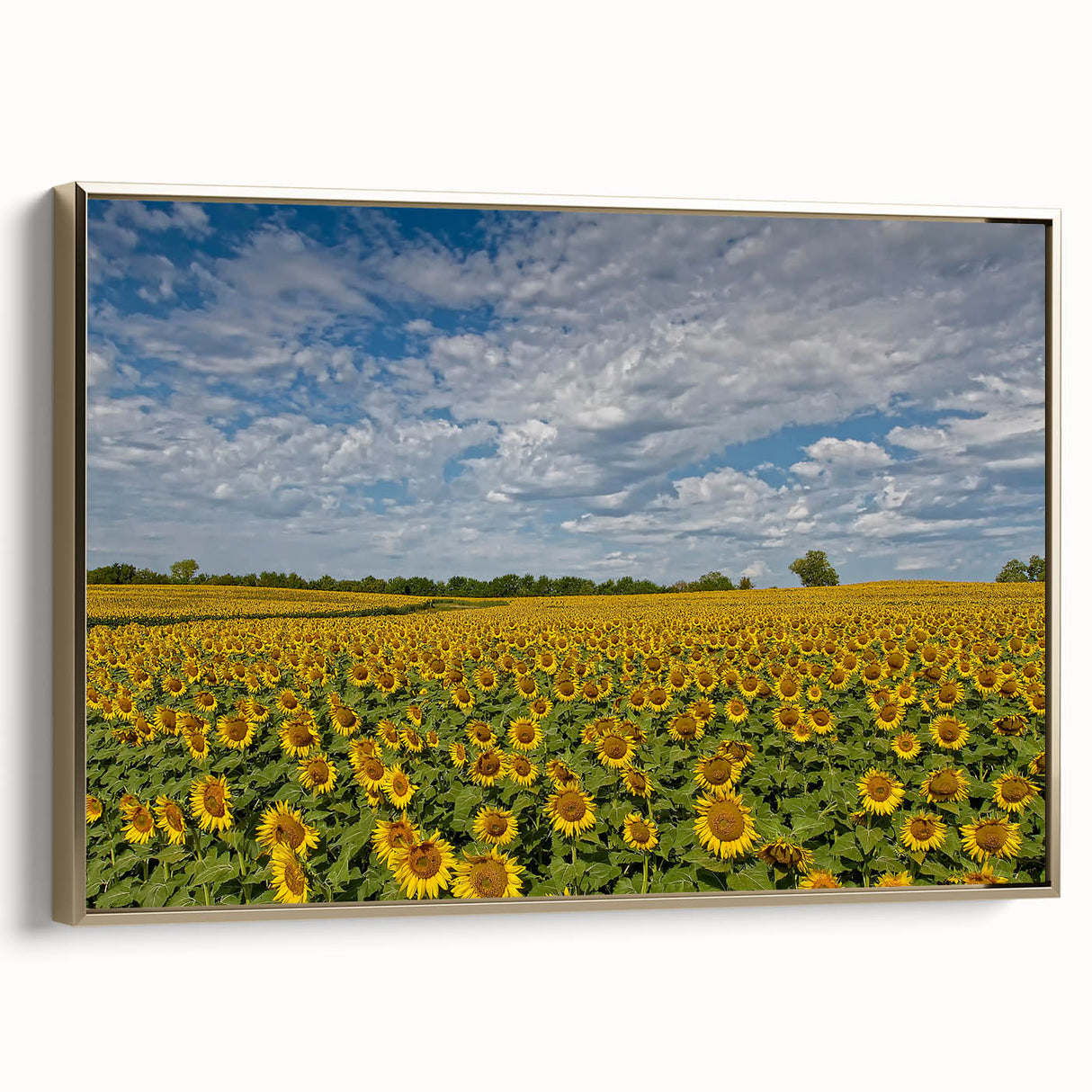 Framed canvas featuring a vintage-style Kansas landscape in black and gold tones, ideal for bedroom wall decor.