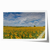 Rolled print of a Kansas landscape with soft pastel shades on canvas, suitable for dining room wall art.