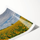 Extra large wall art featuring line art flowers in black on a white background, rolled print format.