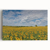 Black and white photograph of a Kansas landscape on large stretched canvas, ideal for kitchen wall art.