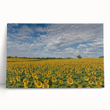 Black and white photograph of Kansas scenery on stretched canvas, suitable as large kitchen wall art or bedroom decor.