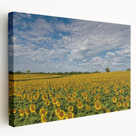 Large canvas print of a Kansas landscape in muted earth tones, suitable for kitchen wall art.