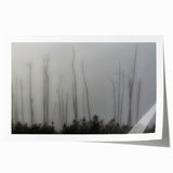 Rolled print of Louisiana scenery with lush green and floral elements, ideal for art wall dining room.