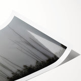 Extra large wall art featuring line art flowers in black on a white background, ideal for large living room decor.