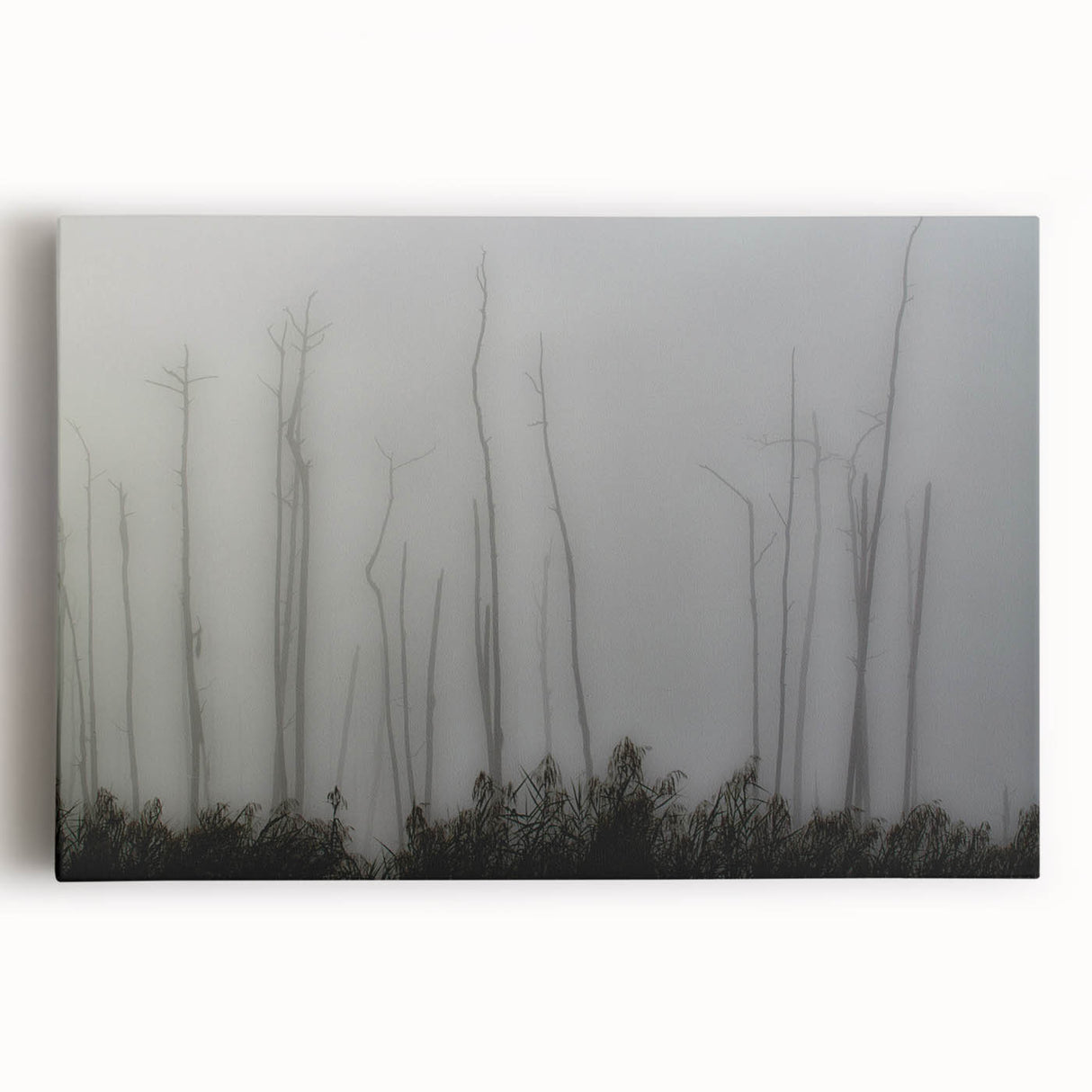 Black and white photo of Louisiana scenery on stretched canvas, ideal for kitchen art.