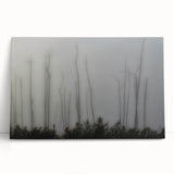 Black and white photograph of Louisiana scenery on large stretched canvas, ideal for kitchen wall art or bedroom ambiance.