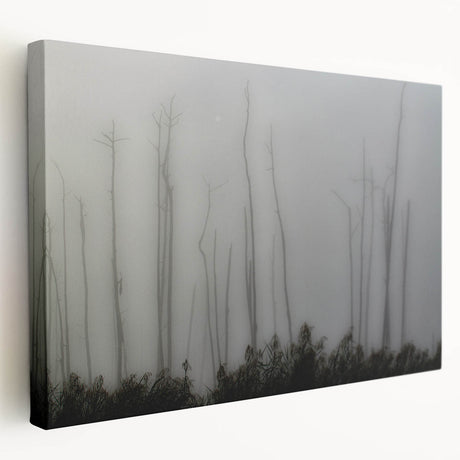 Louisiana bayou scene on large stretched canvas with muted green and blue tones, suitable for kitchen wall art.