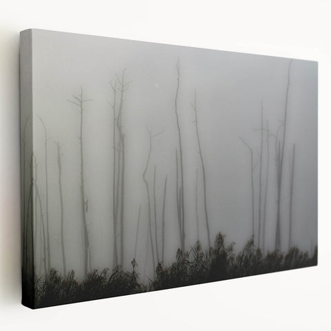 Louisiana bayou scene on large stretched canvas with muted green and blue tones, suitable for kitchen wall art.