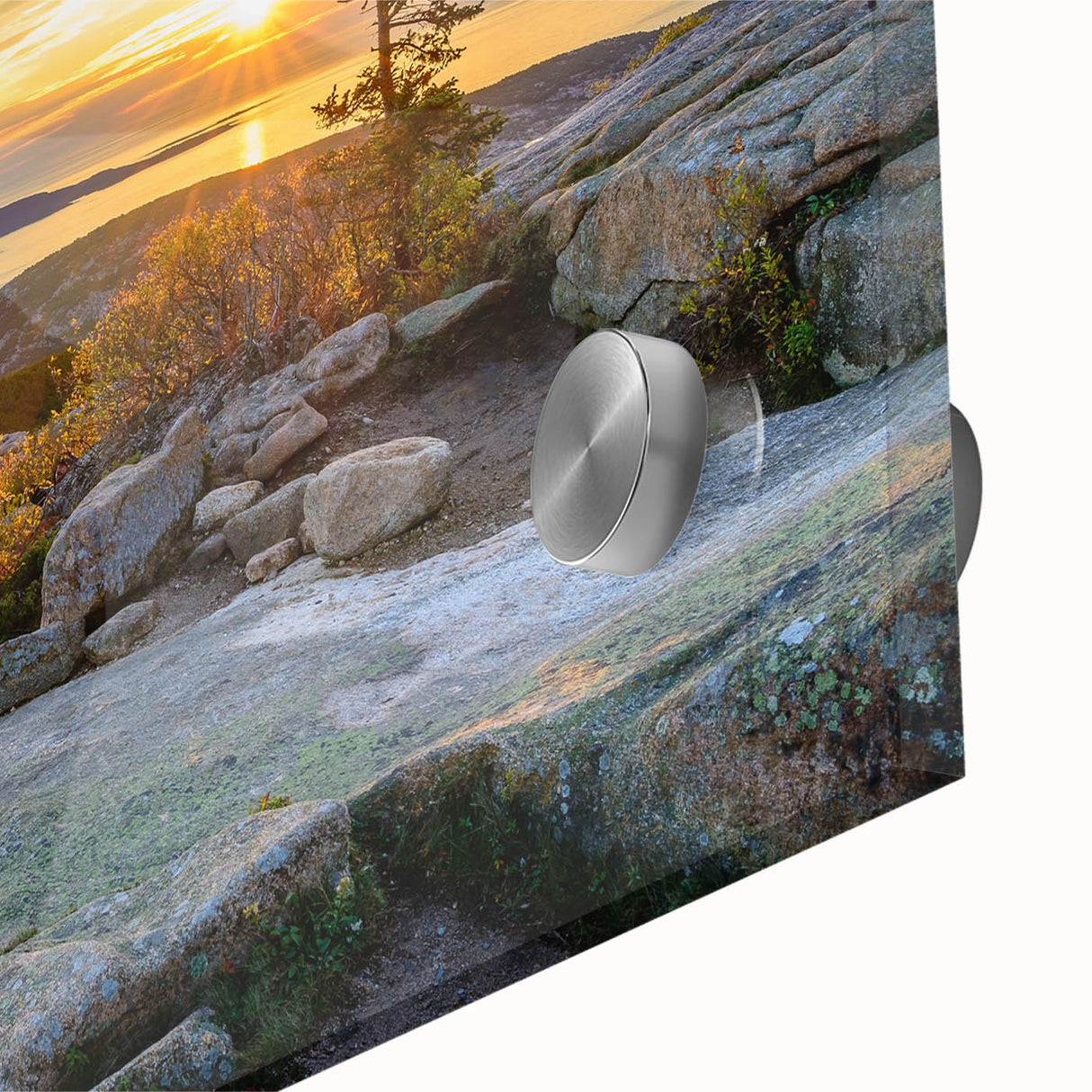 Large abstract depiction of Acadia, Maine in muted earth tones on acrylic glass.