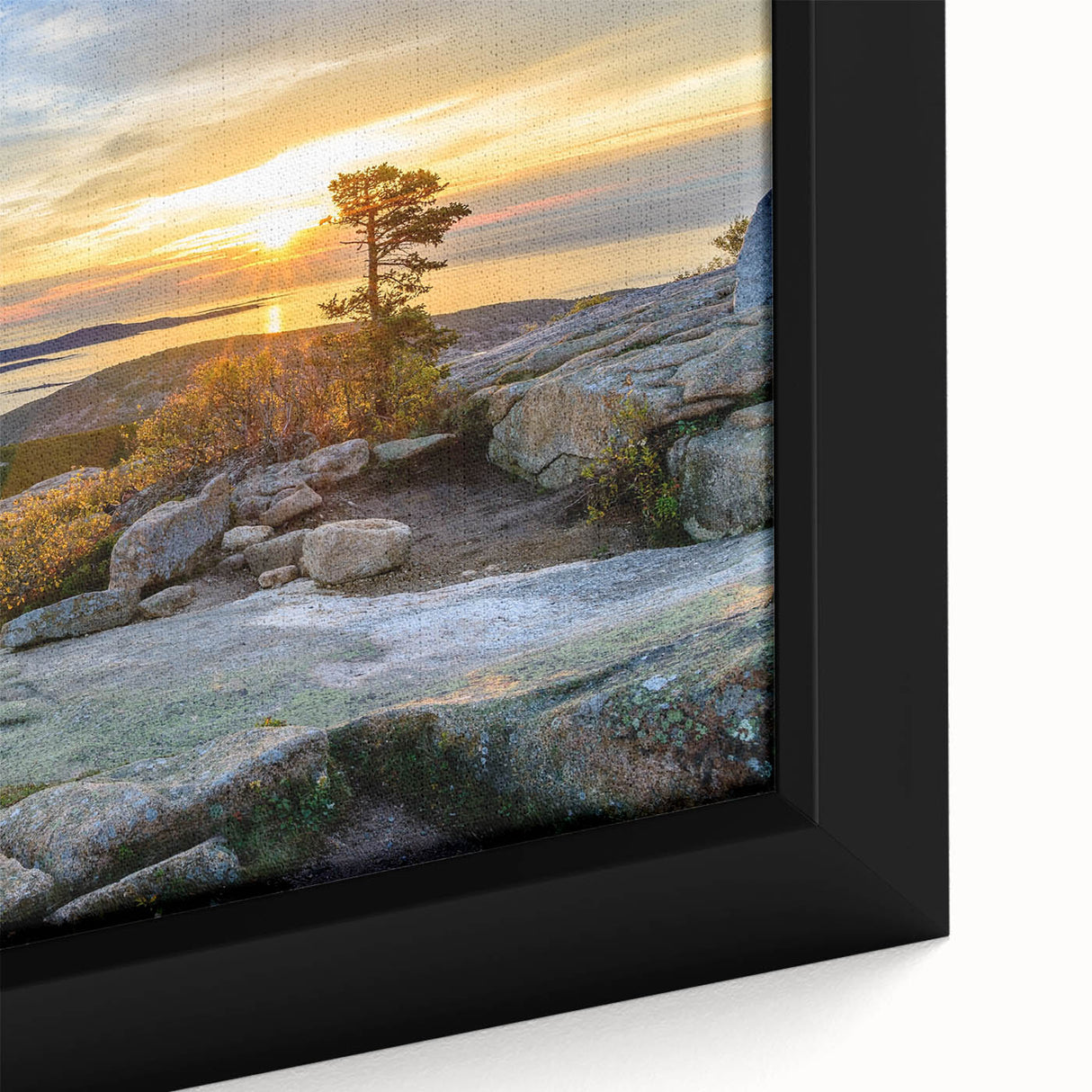 Framed canvas depicting a textured, colorful Maine Acadia landscape in muted earth tones, ideal for living room decor.