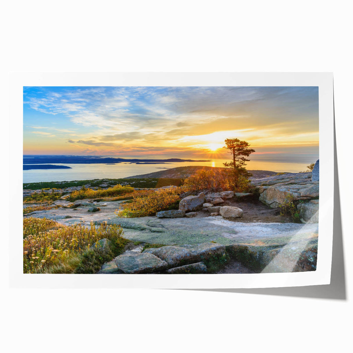 Acadia National Park scene in soft natural hues on a rolled canvas print, suitable for dining room or bathroom wall art.