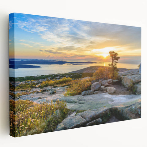 Acadia National Park landscape on large stretched canvas, featuring lush greenery and serene water.