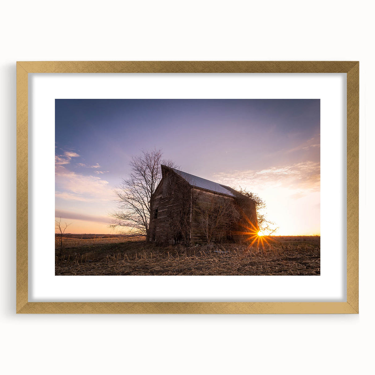Extra large abstract art print of Nebraska scenery in textured style with earthy tones, framed in gold.