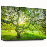 Large abstract wall art depicting a New Jersey scenery in muted earth tones, acrylic glass, ideal for dining room decor.