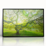 Large abstract wall art of New Jersey scenery in black and white, framed in acrylic, suitable for modern living room decor.