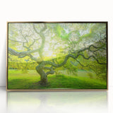 Framed acrylic print of a New Jersey scenery in muted earth tones, ideal for modern art wall decor.