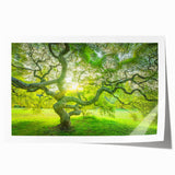 Rolled print of New Jersey scenery with soft floral elements in muted colors, ideal for art wall dining room.