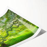 Extra large wall art featuring line art flowers in black on a white background, ideal for large living room decor.