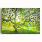 Black and white stretched canvas of New Jersey scenery, ideal for kitchen wall art.