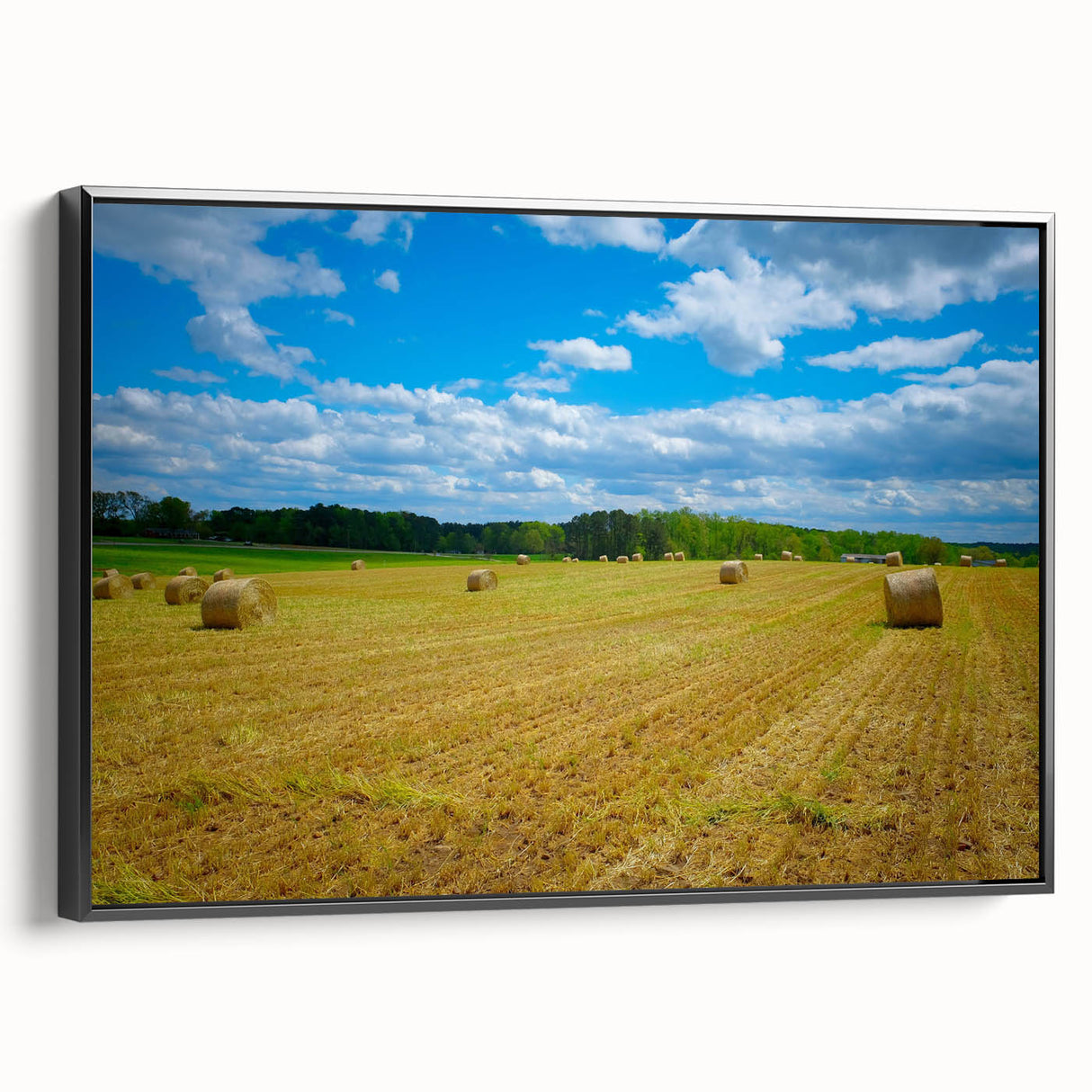 Black and white framed canvas of Raleigh landscape with vintage poster art style, suitable for bedroom.