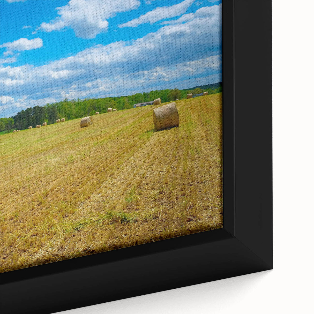 Textured black wall art depicting a colorful Raleigh skyline on a large framed canvas, ideal for living room decor.