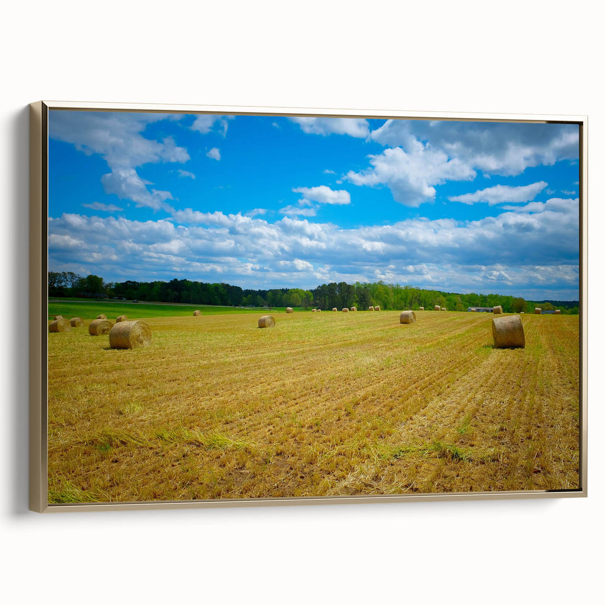 Framed canvas of Raleigh, North Carolina landscape with vintage poster style in black and gold tones.