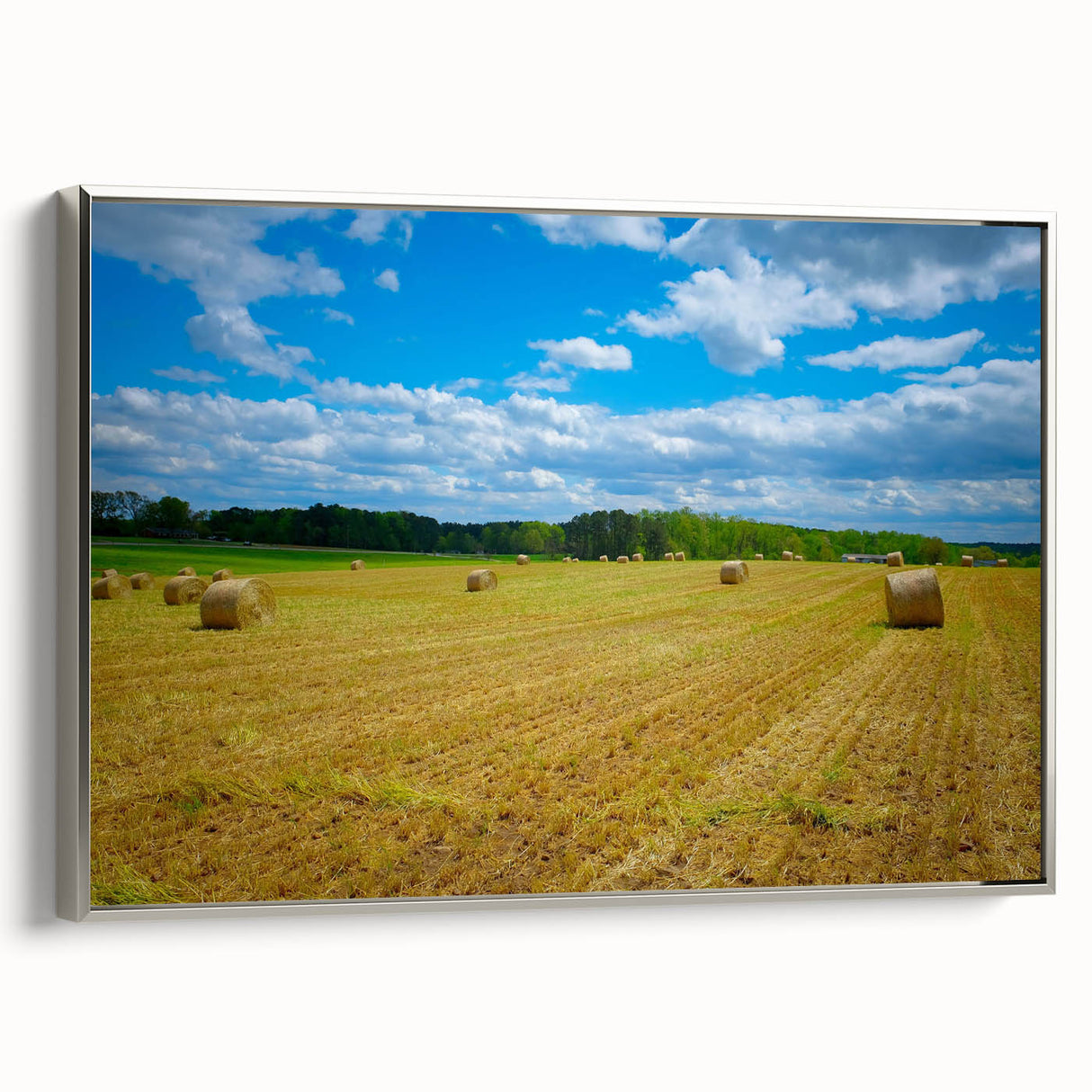 Framed canvas of Raleigh, North Carolina landscape painting in vibrant colors, ideal for living room decor.