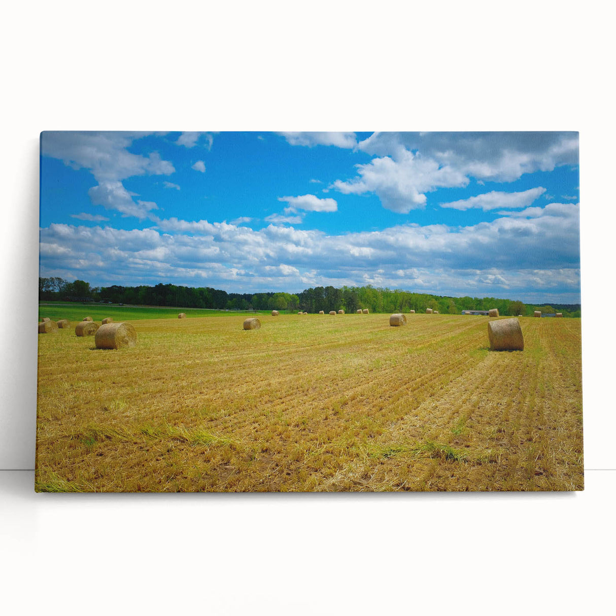 Black and white stretched canvas featuring the Raleigh, North Carolina skyline, suitable as large kitchen wall art.