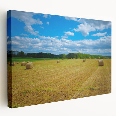 Raleigh, North Carolina skyline depicted in muted earth tones on a large stretched canvas, ideal for kitchen wall art.