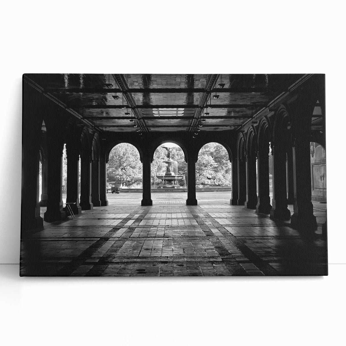 Black and white image of Central Park on stretched canvas, ideal for kitchen wall art or bedroom ambiance.