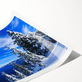 Extra large wall art featuring a line art depiction of flowers in black and white, ideal for large living room decor.