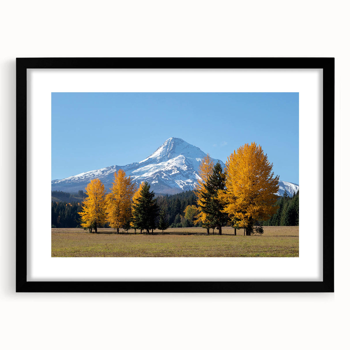 Extra large framed wall art of Mount Hood, Oregon, in vibrant, textured abstract style on matte canvas.