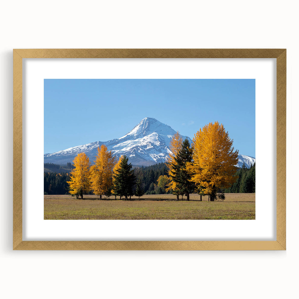 Extra large wall art featuring an abstract depiction of Mount Hood, Oregon in textured blues and grays, framed in gold.