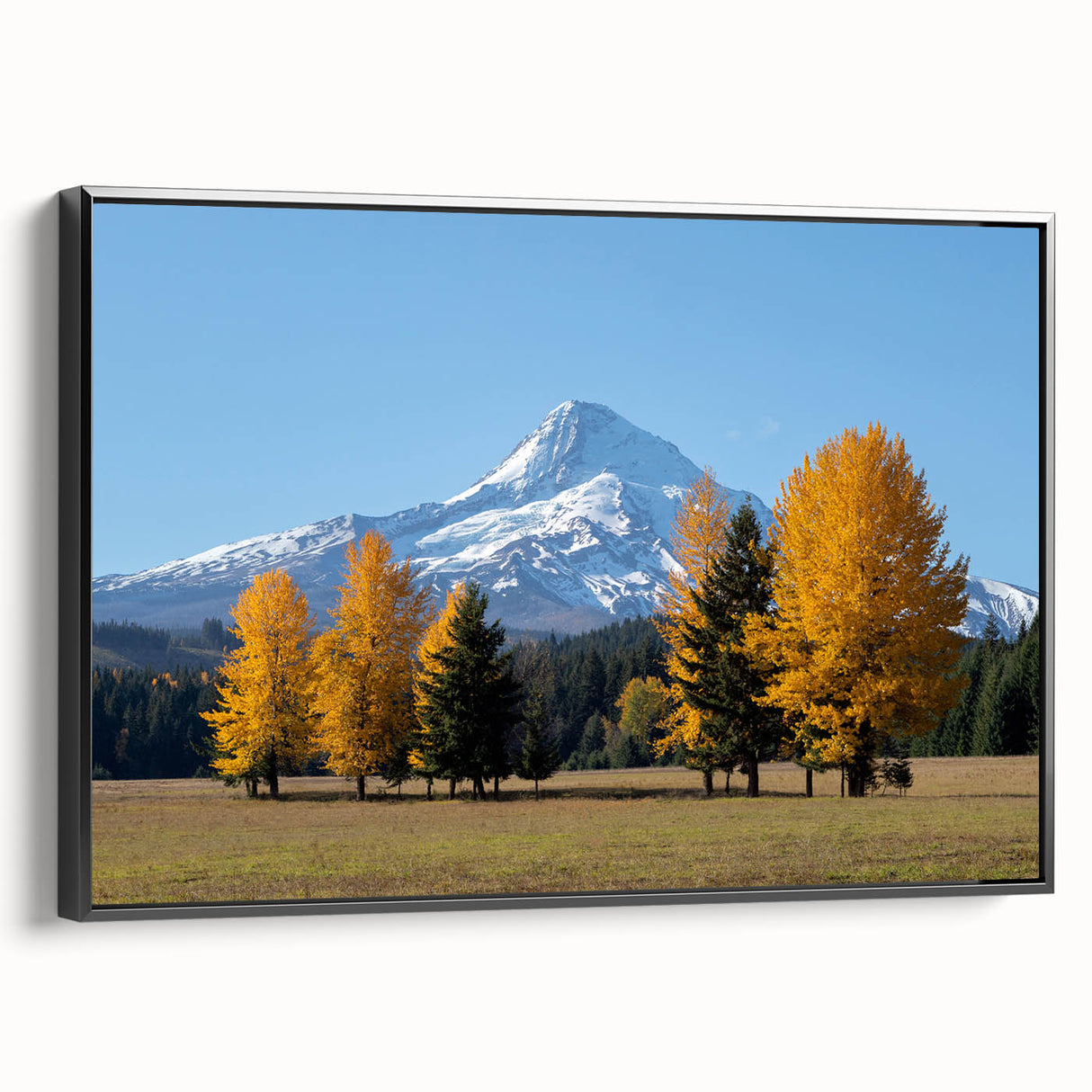 Black and white framed canvas featuring Mount Hood, Oregon, ideal for bedroom landscape art.