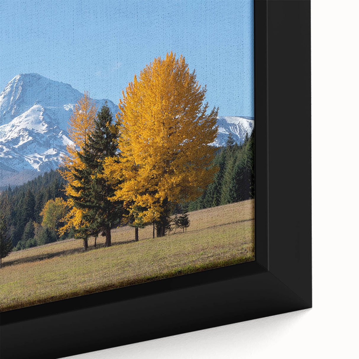 Extra large framed canvas featuring a textured depiction of Mount Hood, Oregon in black with colorful accents.
