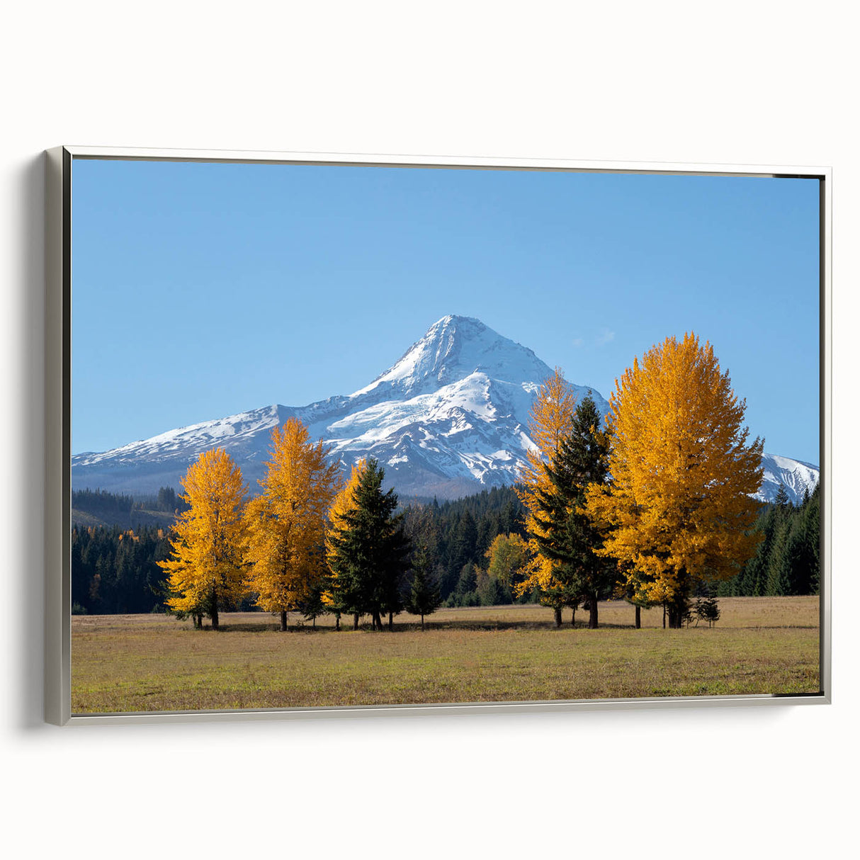 Framed canvas of Mount Hood, Oregon with vibrant colors on a black background, suitable for office decor.