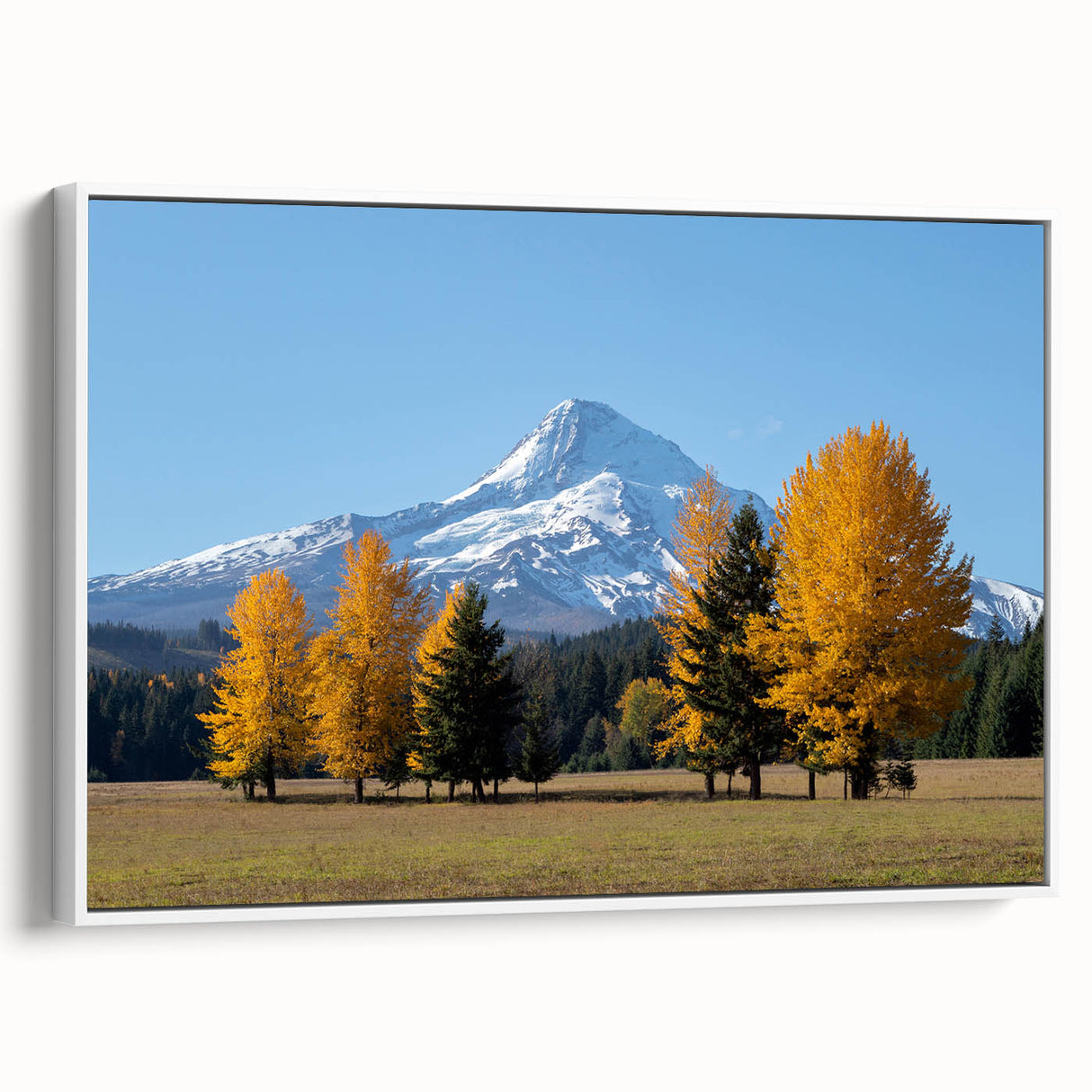 Framed canvas vintage poster art depicting Oregon's Mount Hood in muted earth tones, ideal for living room decor.