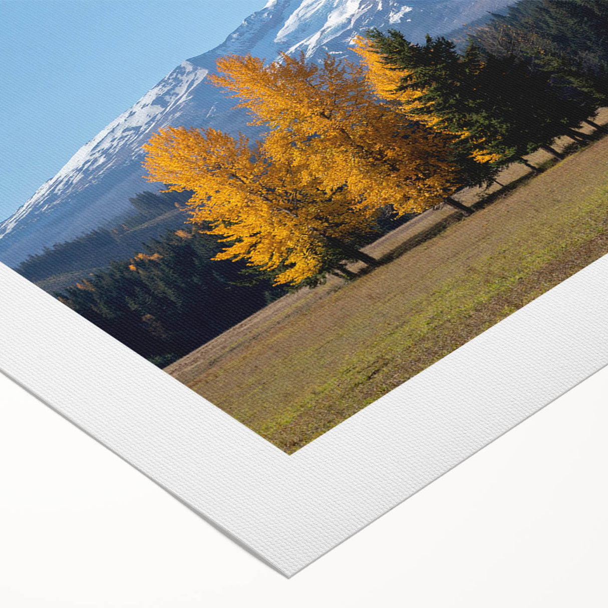 Art deco poster of Mount Hood in Oregon, featuring muted green and blue tones on rolled canvas.