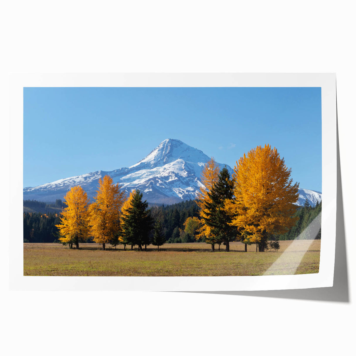 Extra large wall art featuring Mount Hood, Oregon, in muted green and blue tones on rolled canvas.