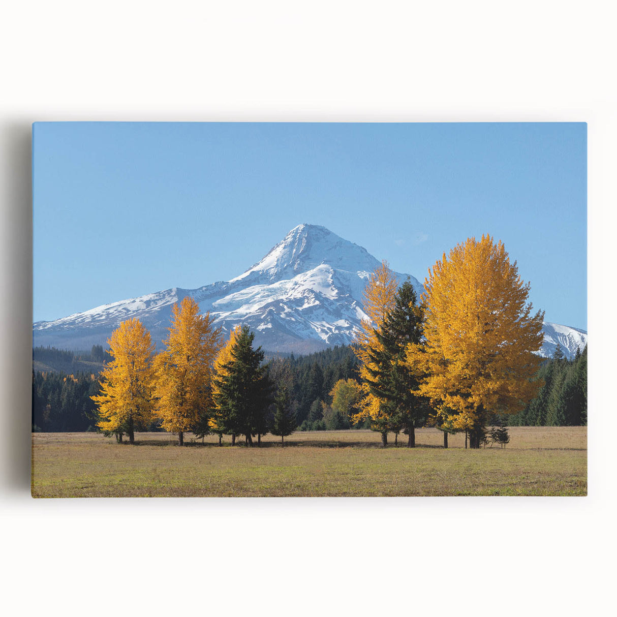 Black and white image of Mount Hood, Oregon on stretched canvas, ideal for kitchen wall art.