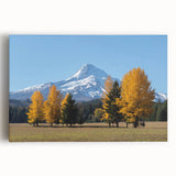Black and white image of Mount Hood, Oregon on stretched canvas, ideal for kitchen wall art.