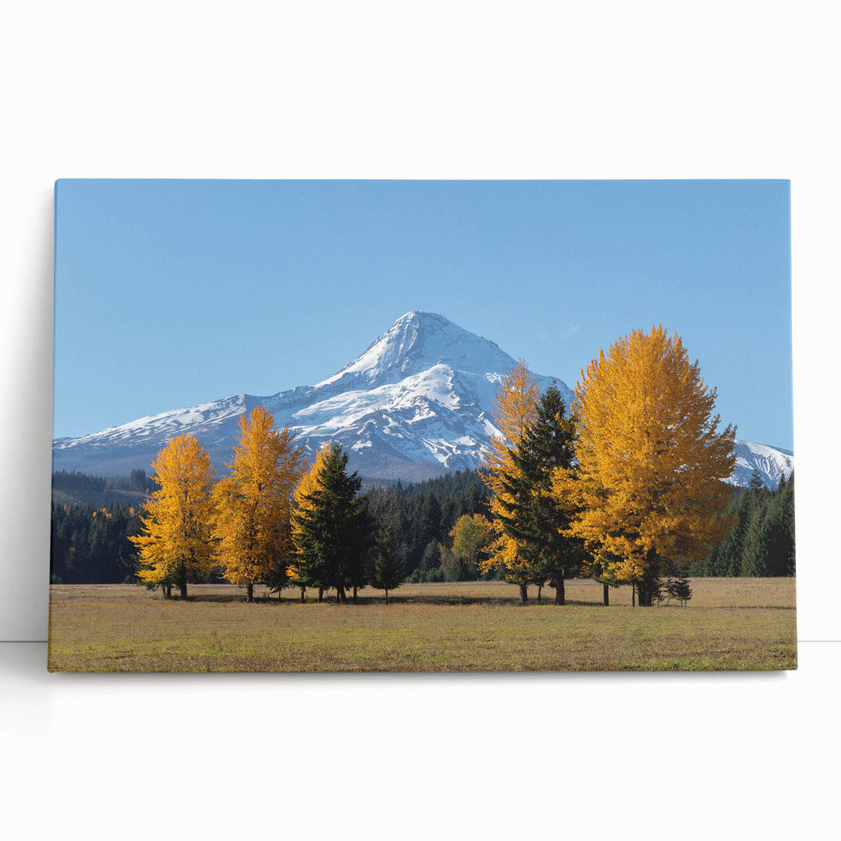 Black and white photo of Mount Hood on stretched canvas, ideal for kitchen wall art or bedroom ambiance.