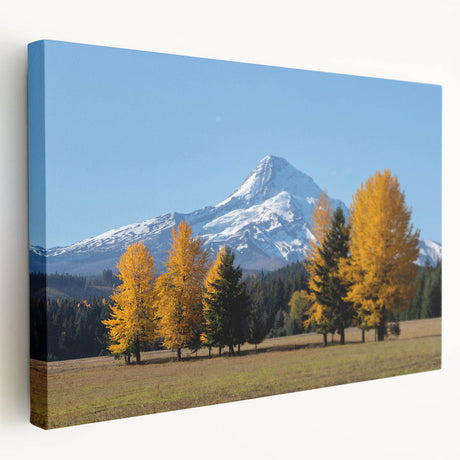 Landscape of Mount Hood in Oregon depicted in muted earth tones on a large stretched canvas, ideal for kitchen wall art.